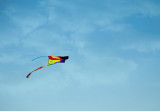 is-kites-are-that-much-dangerous